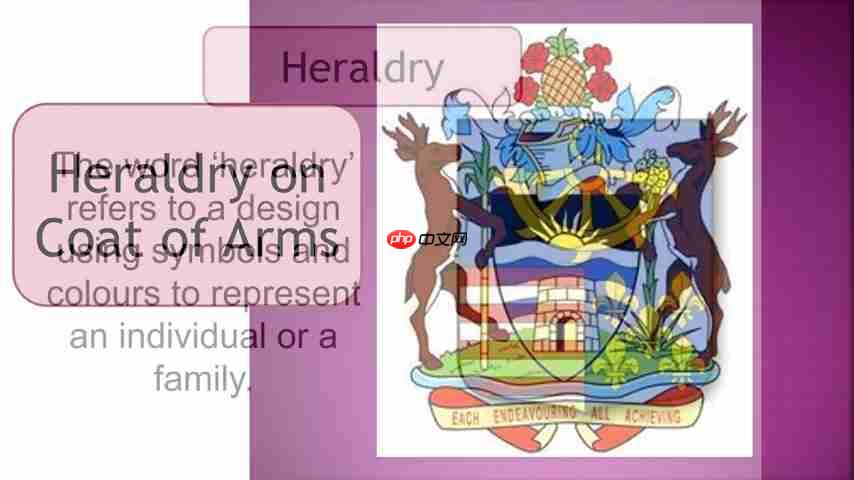 探索纹章学：理解盾徽、颜色和符号的意义  第1张