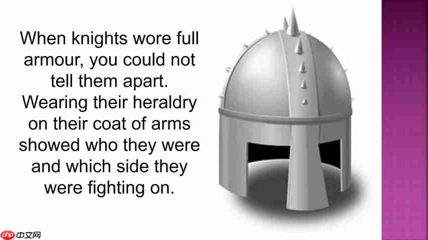 探索纹章学：理解盾徽、颜色和符号的意义  第4张