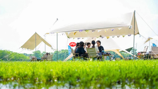 乐平镇锚定“全国宠物度假小镇” 书写大湾区文旅融合新篇章  第9张