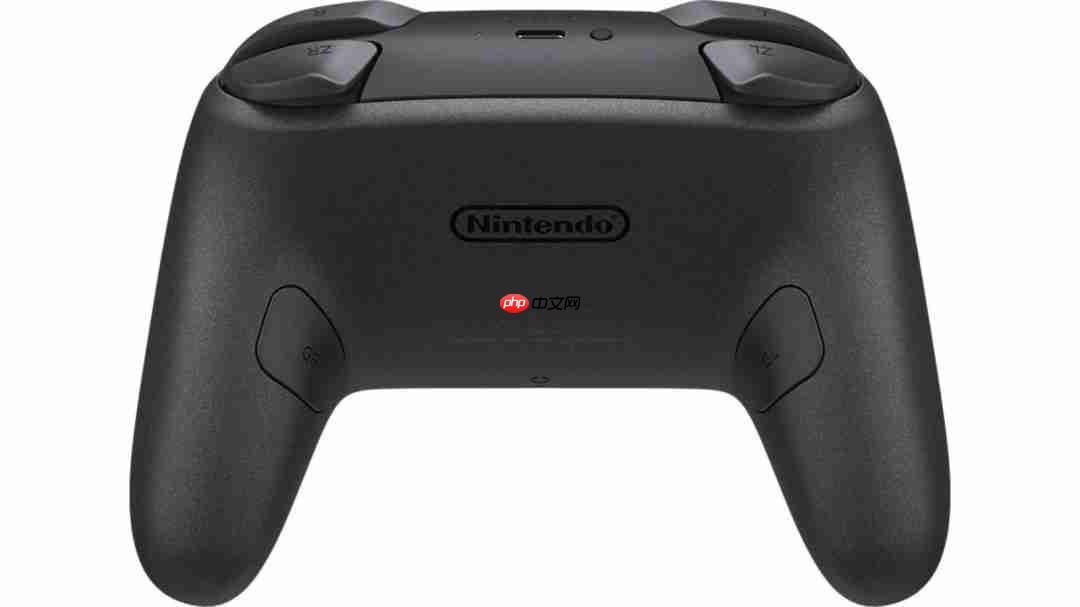 卡普空公布《生化危机9》主题NS2 Pro手柄和Amiibo  第3张