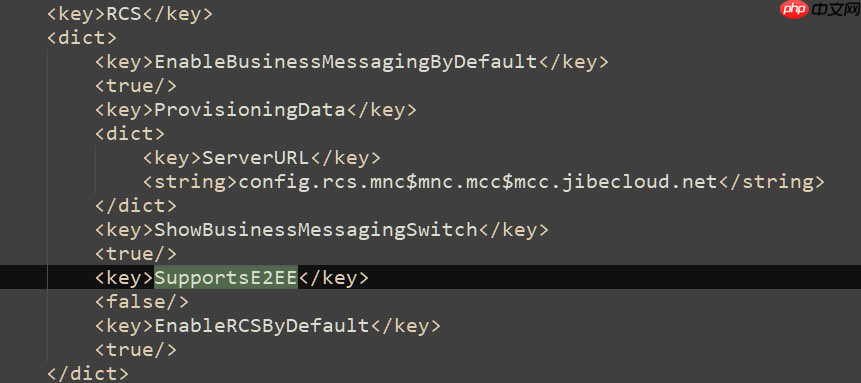 iOS 26.3测试版文件显示 苹果正准备为RCS引入端到端加密 第2张 iOS 26.3测试版文件显示 苹果正准备为RCS引入端到端加密 第2张