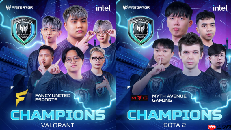 亚太掠夺者电竞大赛收官新德里！PLGirls写下时代印记  第2张