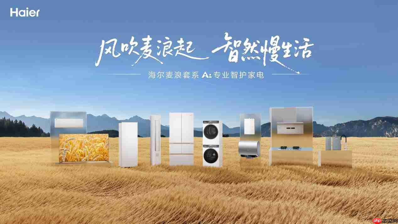 新一轮国补落地，海尔智家启动“年货节”  第2张