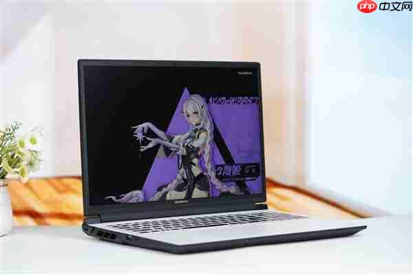 长江存储PC42Q SSD加持！ 七彩虹隐星P16 Pro图赏  第4张