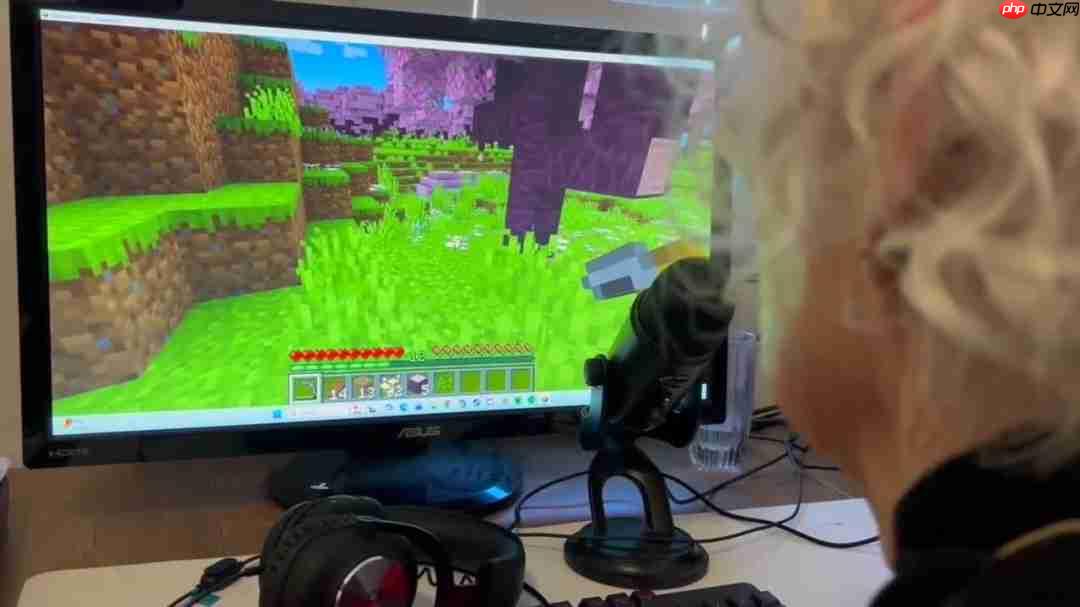 81岁奶奶直播《我的世界》为孙子治疗癌症 第2张 81岁奶奶直播《我的世界》为孙子治疗癌症 第2张