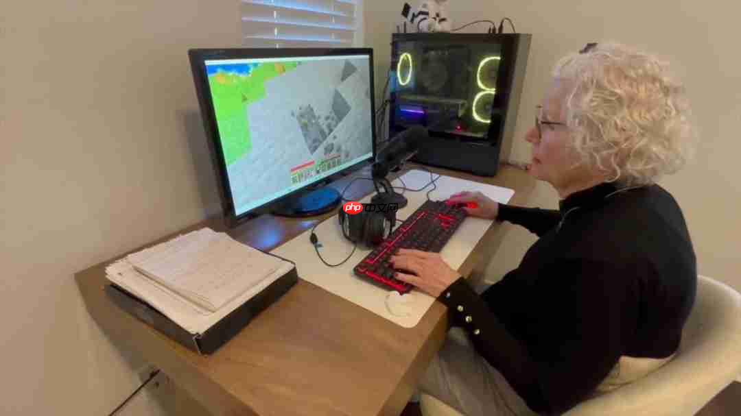 81岁奶奶直播《我的世界》为孙子治疗癌症 第3张 81岁奶奶直播《我的世界》为孙子治疗癌症 第3张