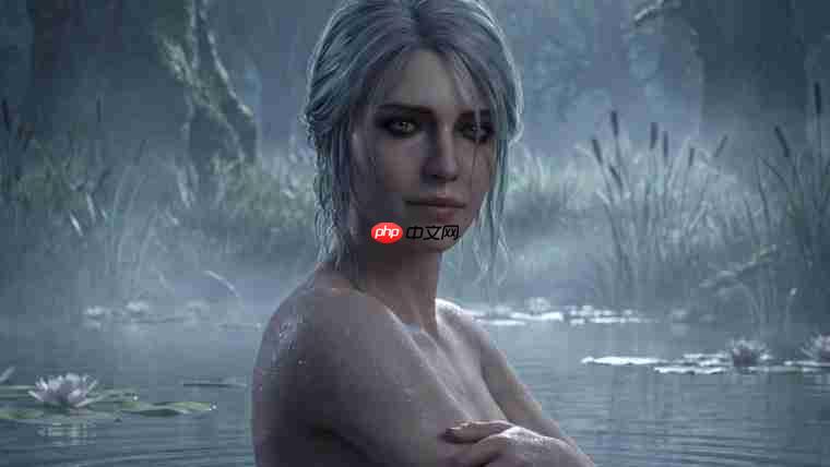 沙漠还是寒冬？ IGN波兰记者分析《巫师3》新DLC地点  第1张