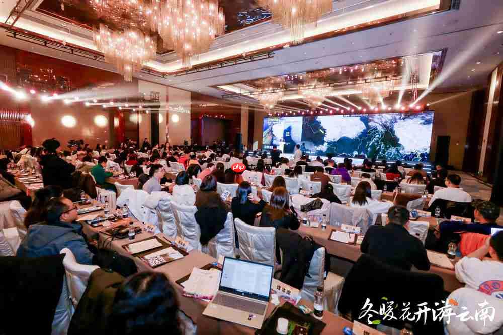 冬暖花开游云南 文旅联动谱新篇 第2张 冬暖花开游云南 文旅联动谱新篇 第2张