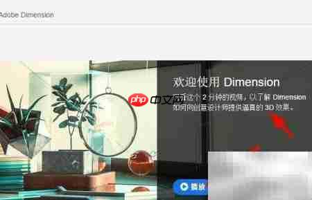 Dimension新建项目指南  第5张