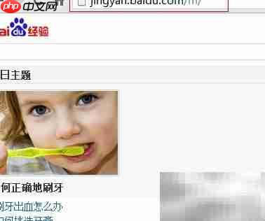 电脑打开WAP页面怎么办  第1张