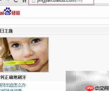 电脑打开WAP页面怎么办  第2张