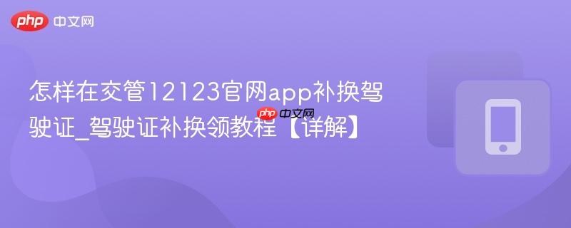 怎样在交管12123官网app补换驾驶证_驾驶证补换领教程【详解】  第1张