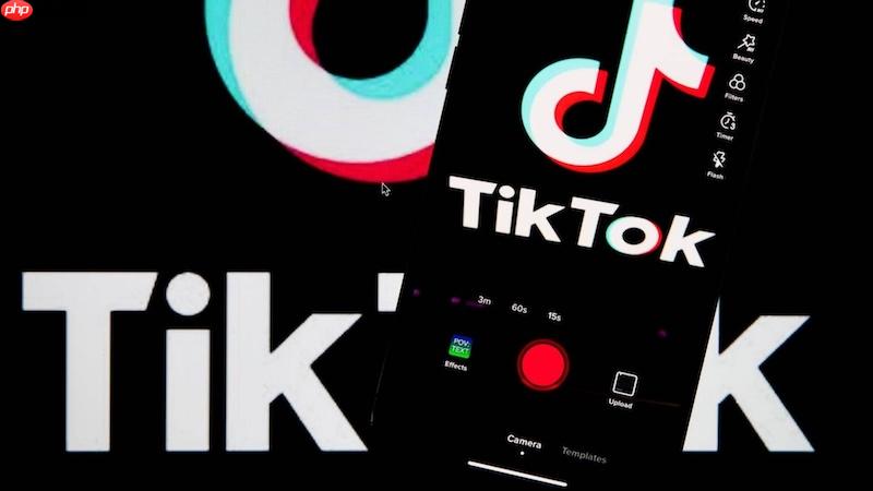 tiktok登录官网入口 tiktok正版网页登录平台  第1张