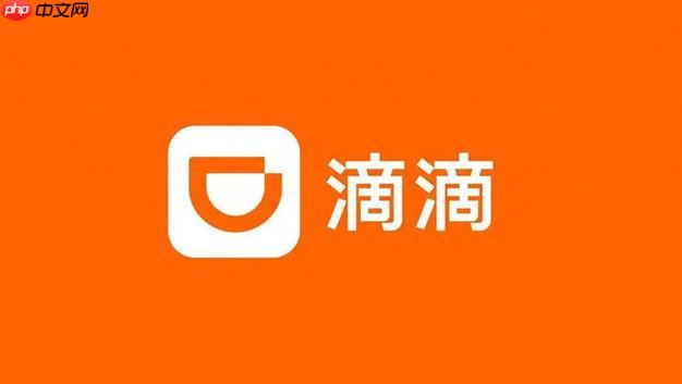 2025滴滴出行年度账单明细怎么看 滴滴年度报告完整版  第1张