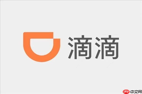 滴滴出行2025年度总结怎么弄 滴滴年度报告分享链接  第1张