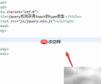 jQuery获取input的type类型方法  第1张