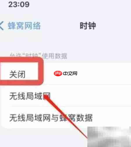 iPhone11Pro禁止时钟联网设置  第3张
