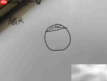 圆圈画猪头，简单几步搞定  第2张