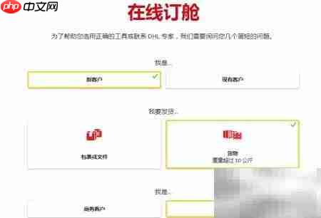 DHL国际快递运单制作（日文版）  第1张