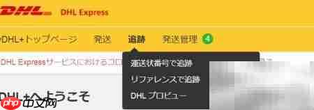 DHL国际快递运单制作（日文版）  第7张