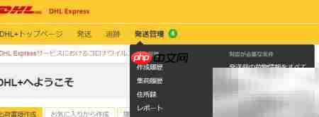 DHL国际快递运单制作（日文版）  第8张