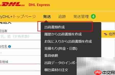 DHL国际快递运单制作（日文版）  第9张