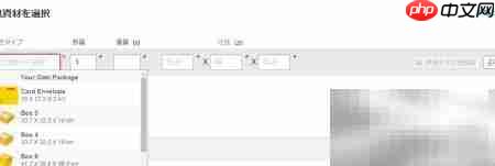 DHL国际快递运单制作（日文版）  第15张