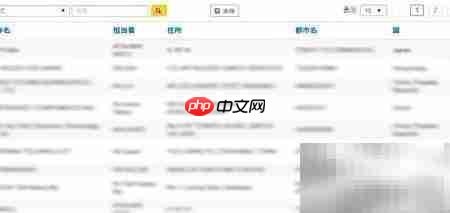 DHL国际快递运单制作（日文版）  第12张