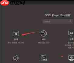 GOMPlayer如何设置仅打开选择的文件  第2张