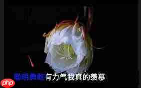 剪映如何制作颜色逐字覆盖动画  第2张