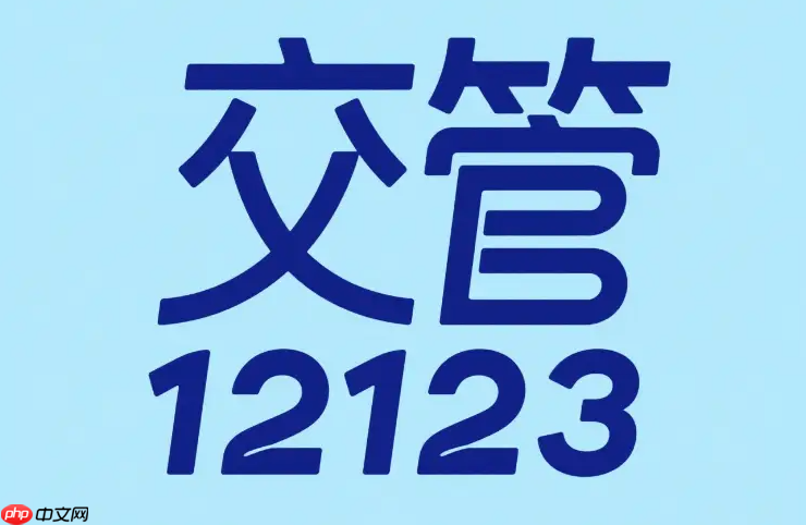 交管12123网页版官网访问 交管12123网页版一键查询入口  第1张