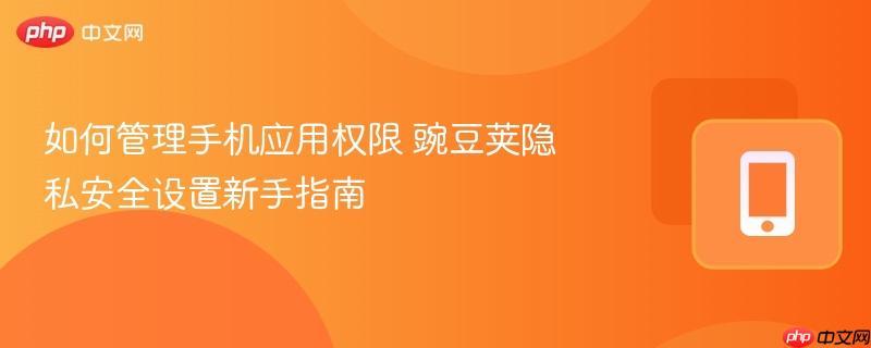 如何管理手机应用权限 豌豆荚隐私安全设置新手指南  第1张
