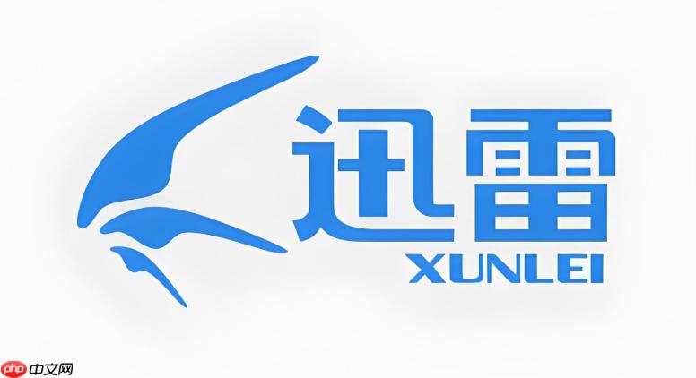 迅雷云盘Web版入口官网 迅雷云盘在线登录  第1张