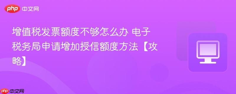 增值税发票额度不够怎么办 电子税务局申请增加授信额度方法【攻略】  第1张