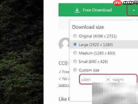免费下载高清图片全攻略  第2张