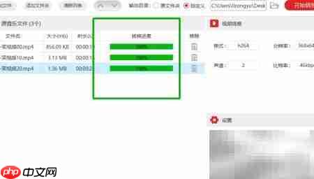 MP4转VOB批量转换教程  第10张