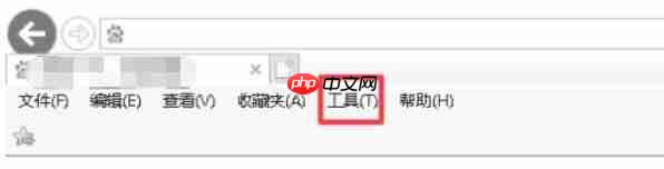 ie11怎么设置标签页显示-ie11设置标签页显示的方法  第2张