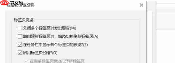ie11怎么设置标签页显示-ie11设置标签页显示的方法  第5张