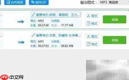 MP4转MP3音频转换教程  第6张