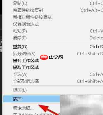 AE清除磁盘缓存方法  第4张