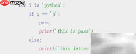 Python中pass语句的作用解析  第4张