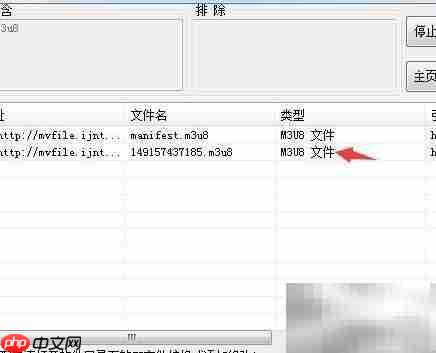 下载M2TS文件的正确方法  第6张