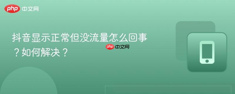抖音显示正常但没流量怎么回事？如何解决？