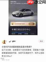 国外怎么买小米汽车  第1张