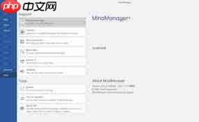 MindManager如何下载安装  第3张