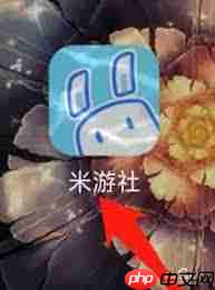 如何在米游社找到关于米游社  第2张