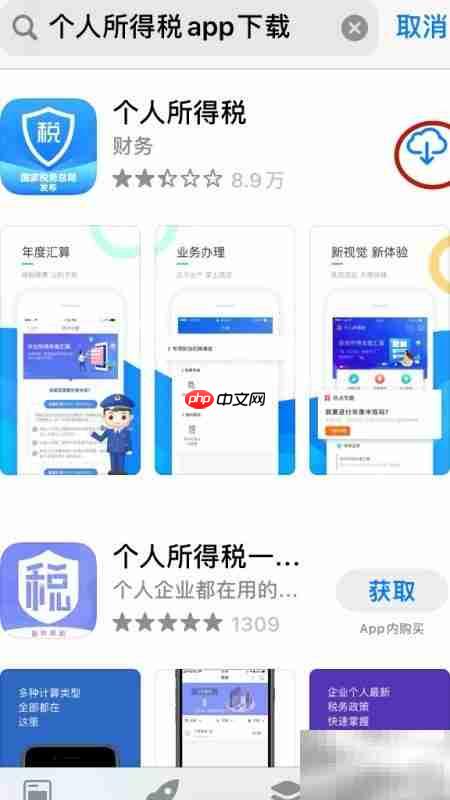 个税系统维护期间应对指南  第4张