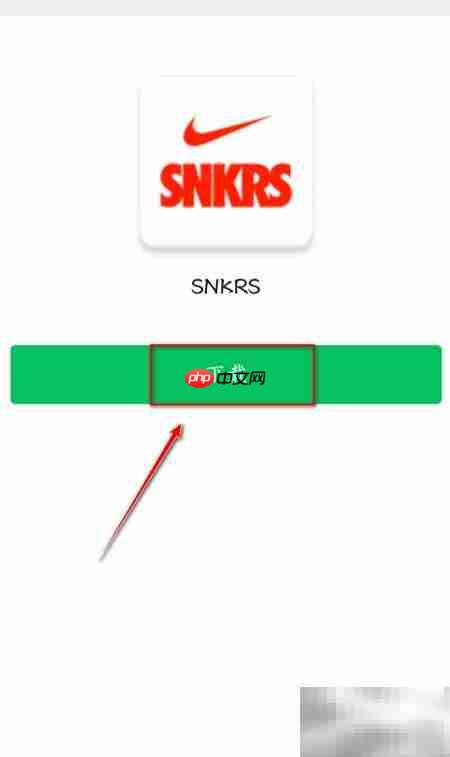 Nike抽签攻略：轻松参与技巧  第1张