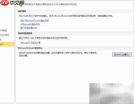 Excel宏设置入门指南  第5张