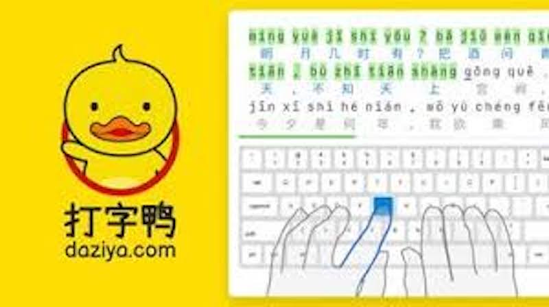 打字鸭网页版登录入口 打字鸭免下载在线使用